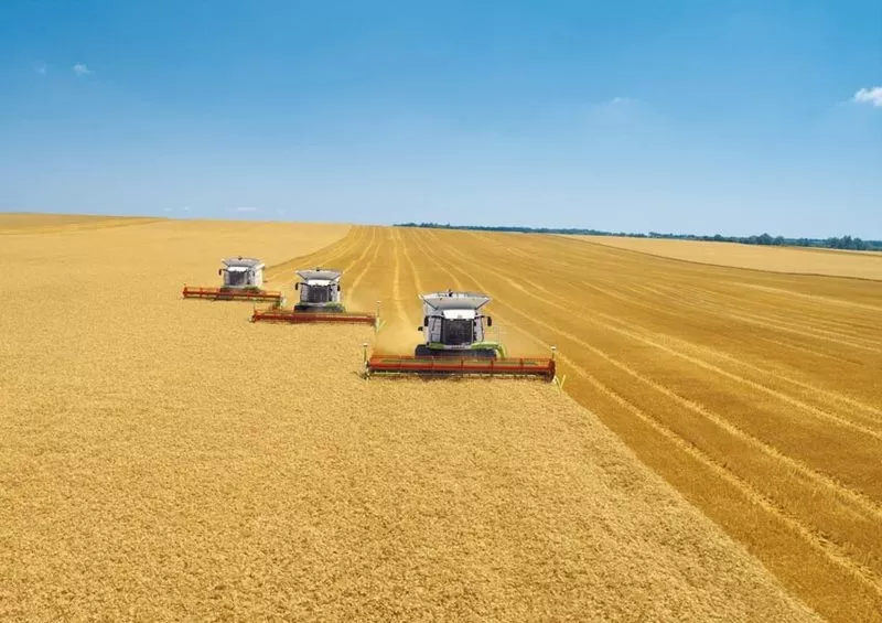 Услуги по уборке урожая зерна спец зерновозами и евро полуприцепами. 2