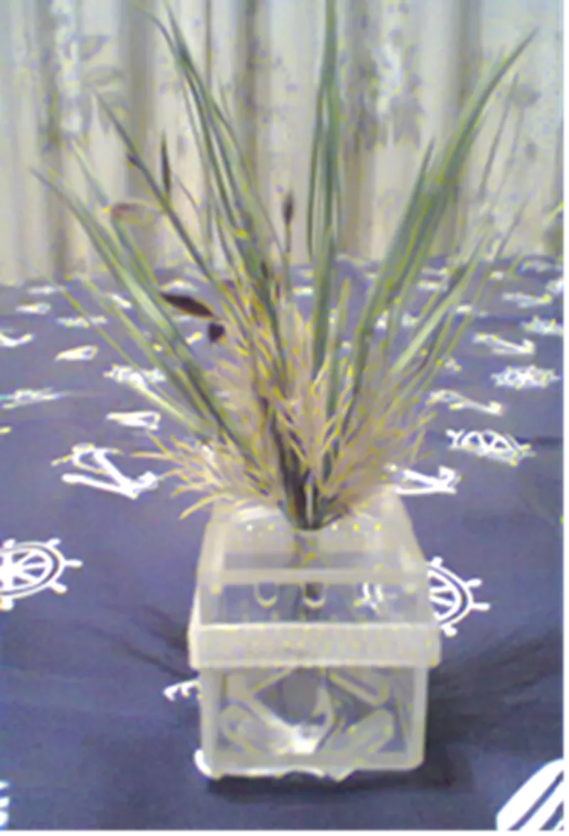 Коробочки из оргстекла для аквариумных растений,  разных размеров 2