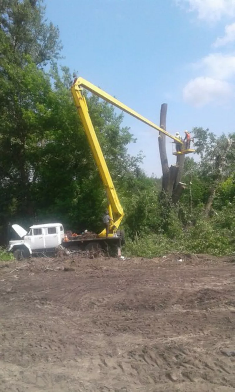 Професійне кронування та зріз дерев з автовишки 2