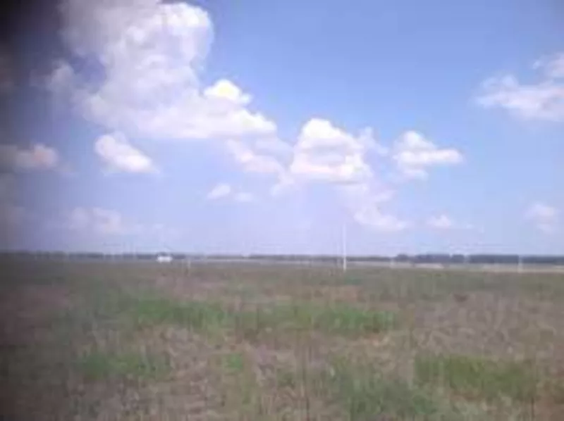 Срочно продам участок с. Светильня!