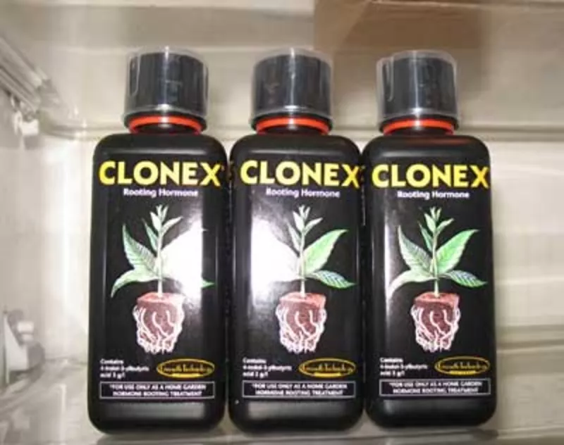 Clonex gel для укоренения