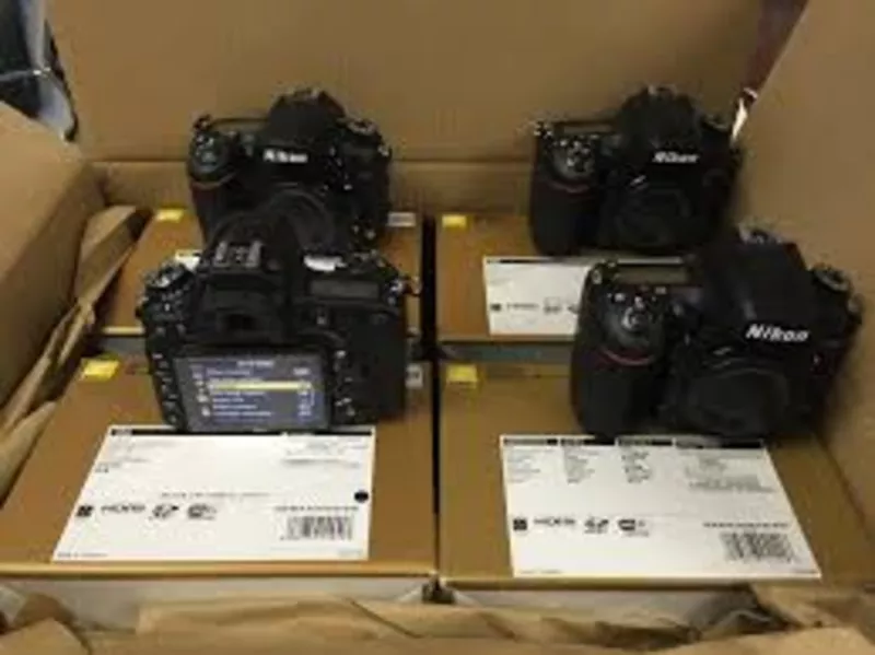 Canon 5D Mark III & Canon 5D Mark II 3