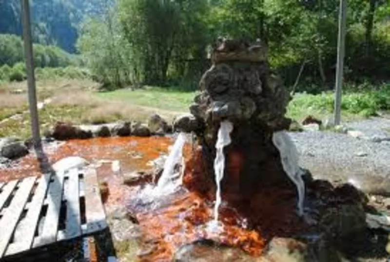 Минеральная вода из источника Карпат,  Оленёво.