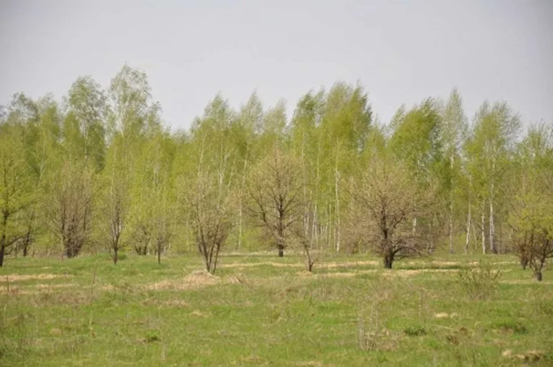 СРОЧНО. ТОРГ. Прекрасный участок под Киевом от владельца 2