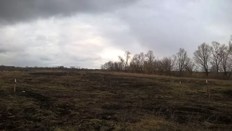 Участок 12 соток с. Погребы Броварской р-н 