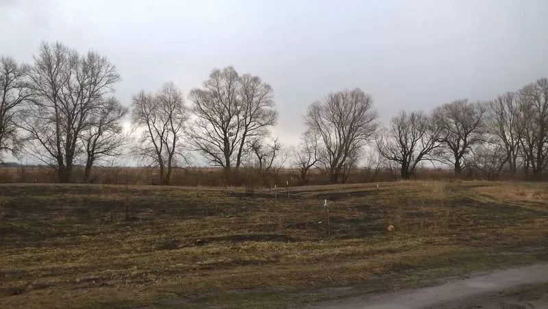 Участок 12 соток с. Погребы Броварской р-н  5