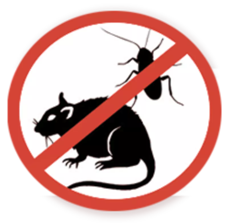 Уничтожение тараканов,  мышей,  клещей
