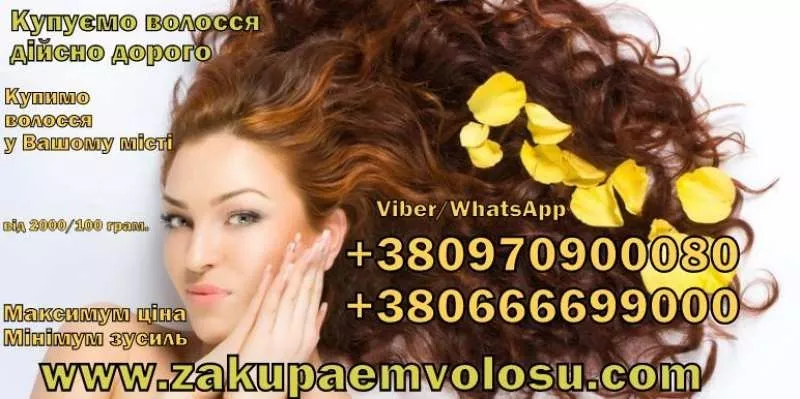 Покупаем волосы дорого в Украине