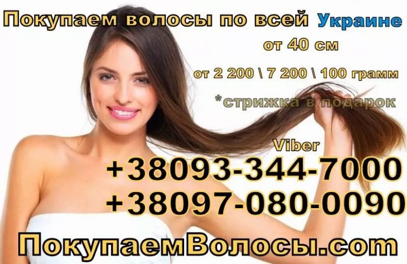 Покупаем волосы дорого в Украине 2