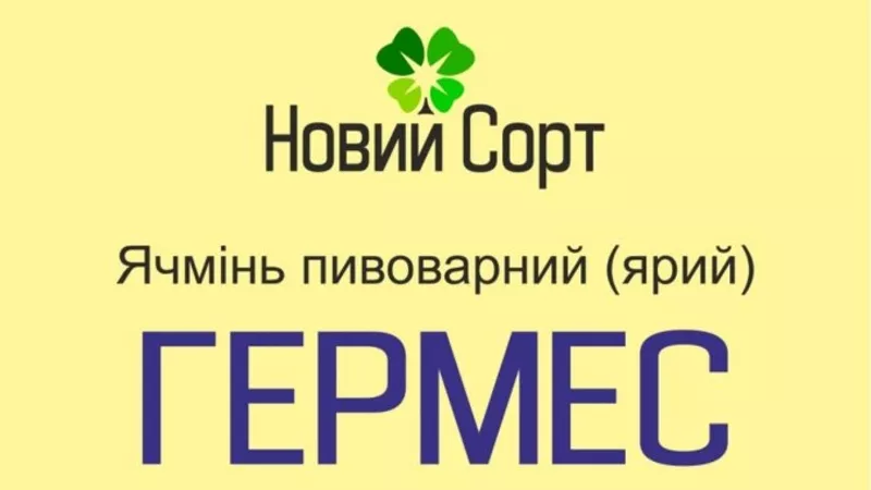 Гермес - новий сорт пивоварного ярого ячменю