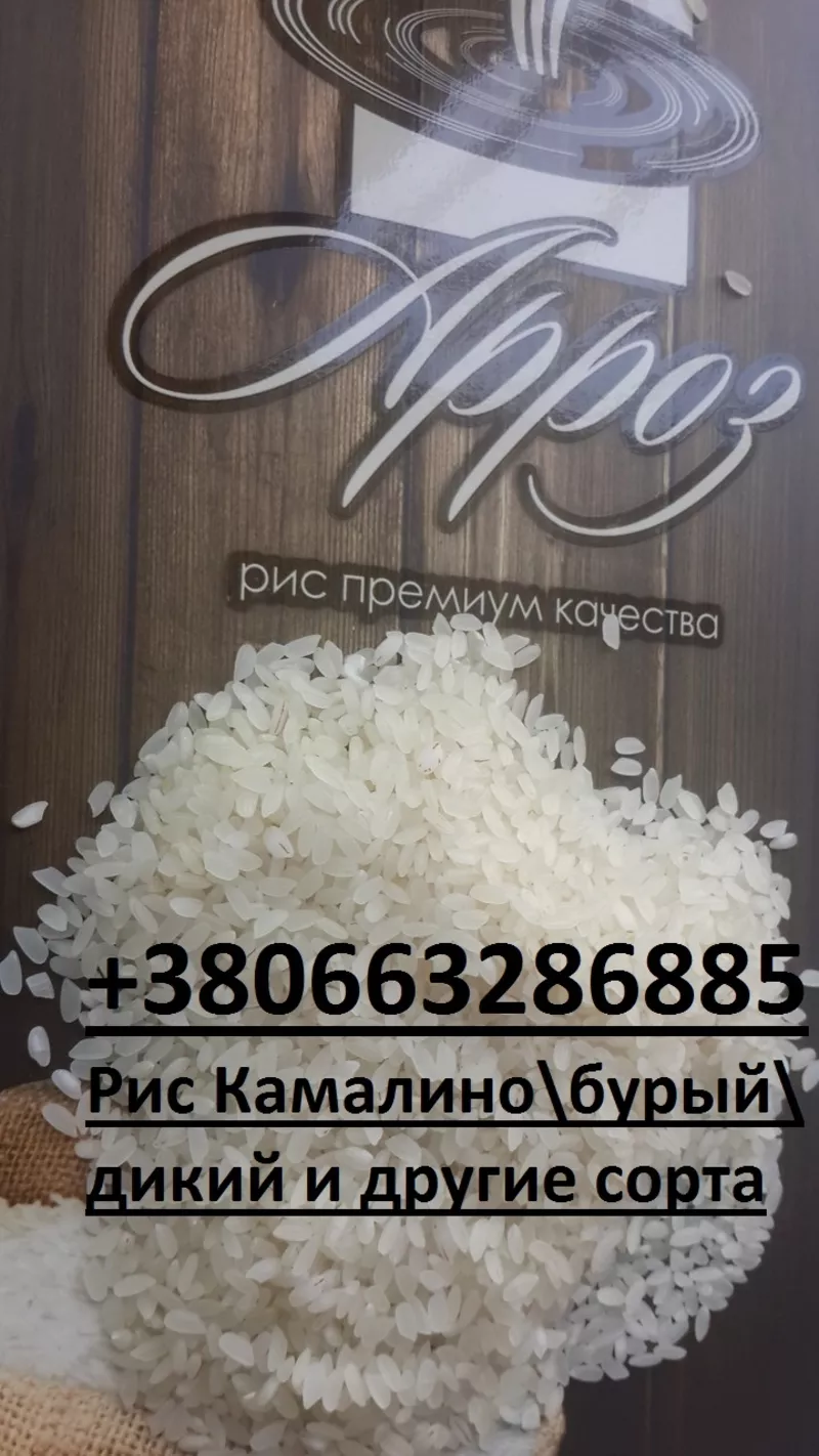 Продается Рис КамалиноКруглыйбурыйдикий и другие сорта  2