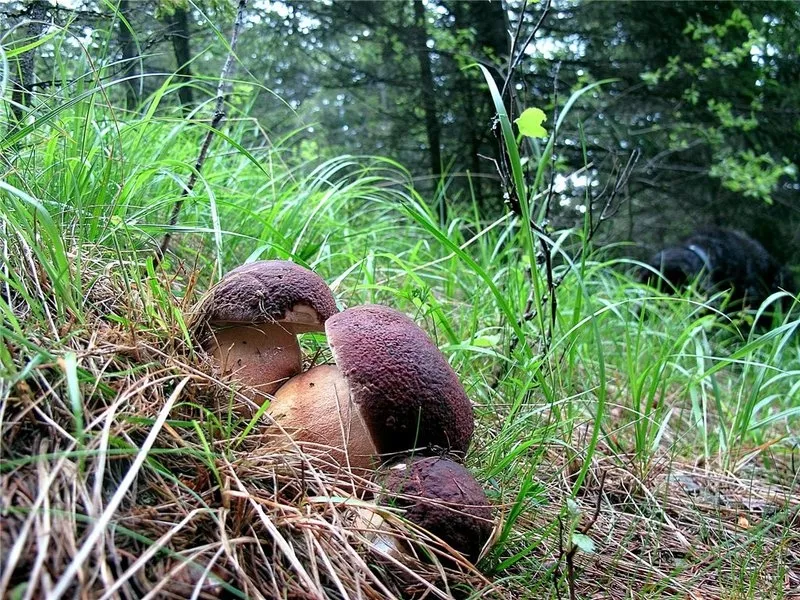 Продам участок  2