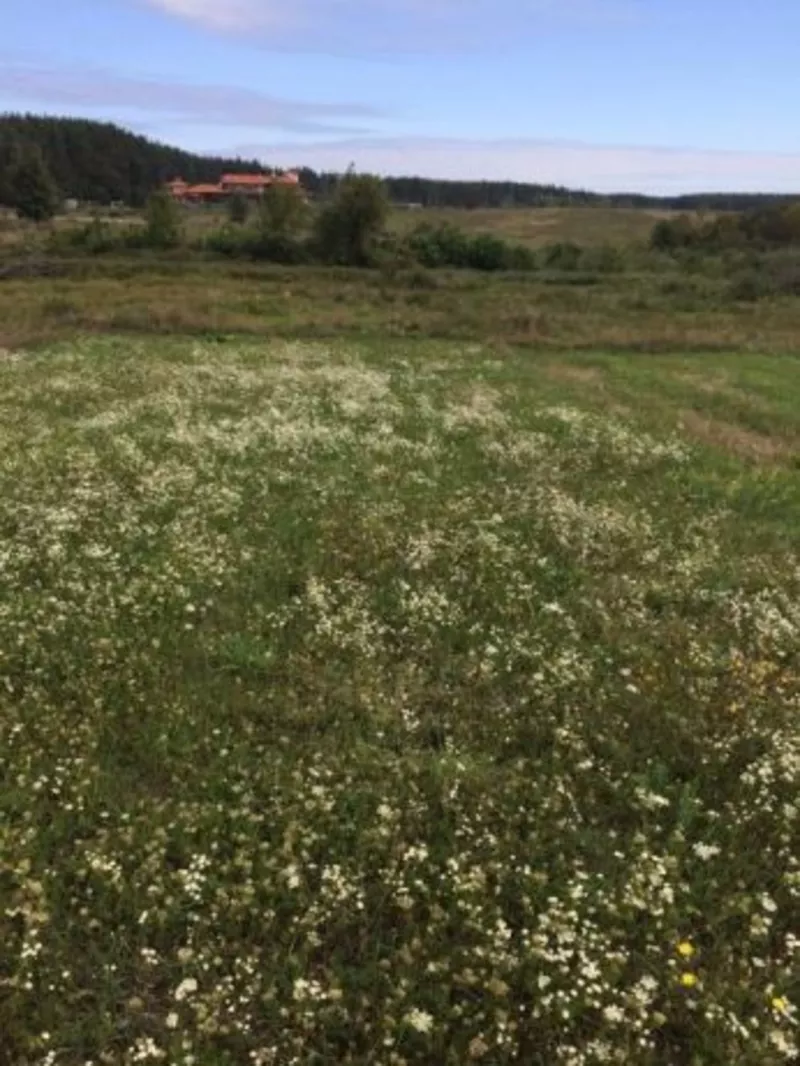 Продаю участок земли, село Колонщина