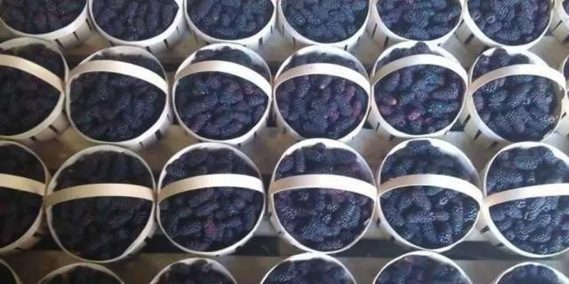 Корзинки из шпона,  упаковка натуральна 3