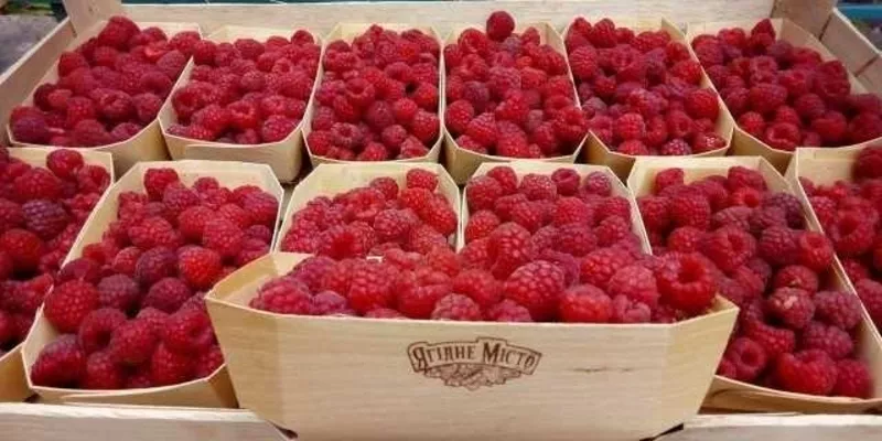 Корзинки из шпона,  упаковка натуральна 4