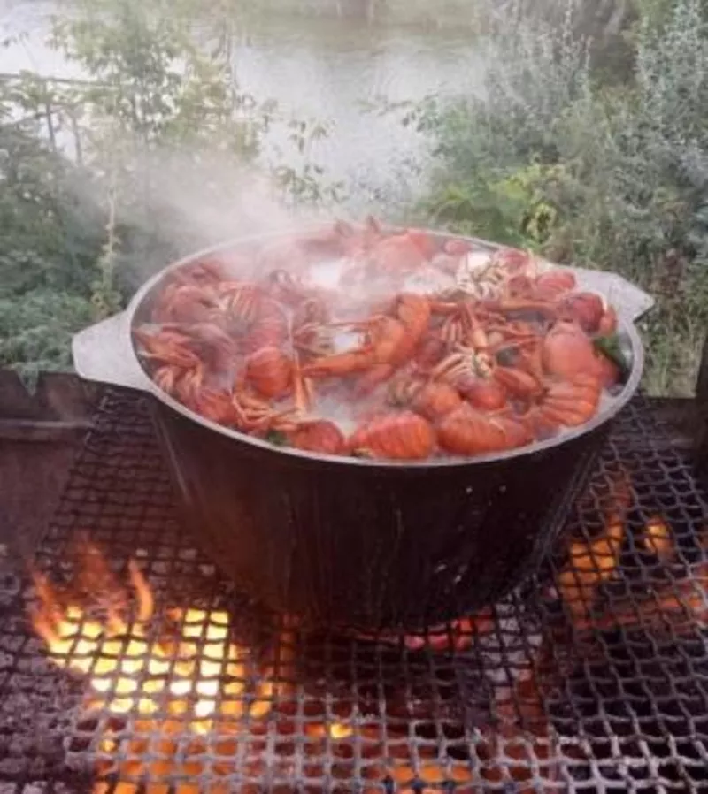 Раки Опт Розница живые и вареные мелкий средний крупный от поставщика