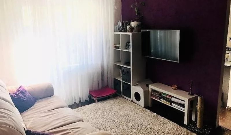 Ищу компаньонку для совместного съема квартиры 4