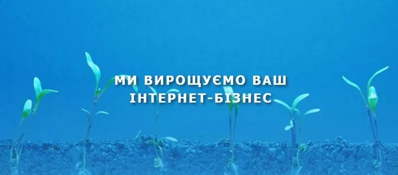 Інтернет магазин від веб студії (безкоштовне створення)