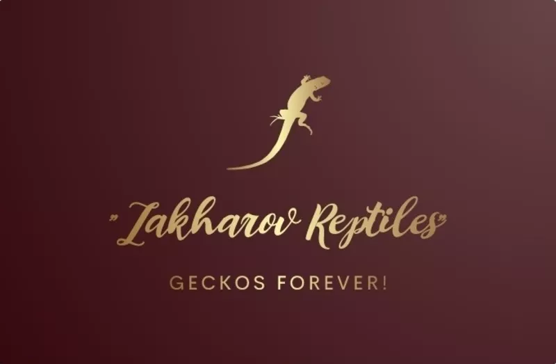 Леопардовый геккон,  пятнистый эублефар. Киев 5