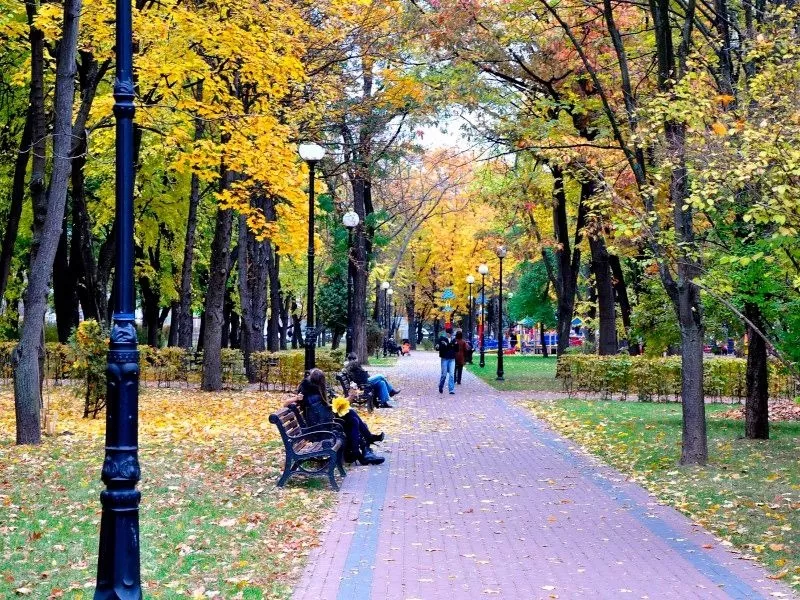 Viidvidanka - Ваш гід по парках Києва!