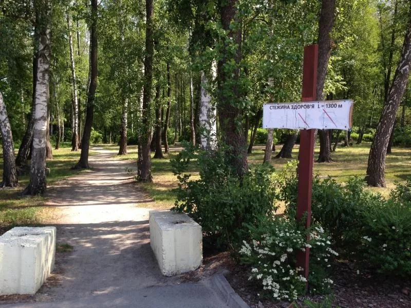 Продам участок с лесом в 19 км от Киева 7