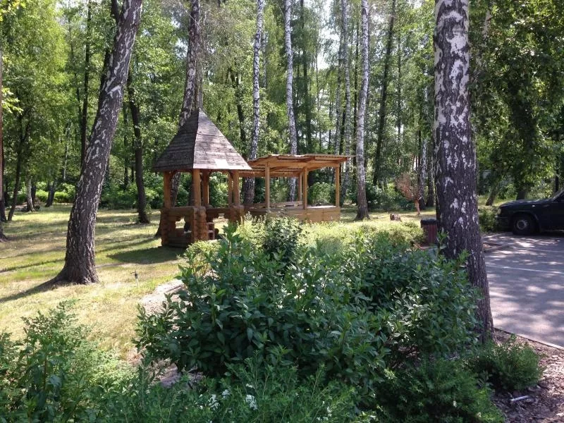Продам участок с лесом в 19 км от Киева 6