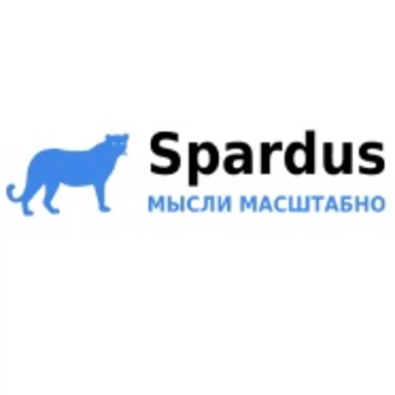 Spardus - Web-аналитика и SEO консалтинг