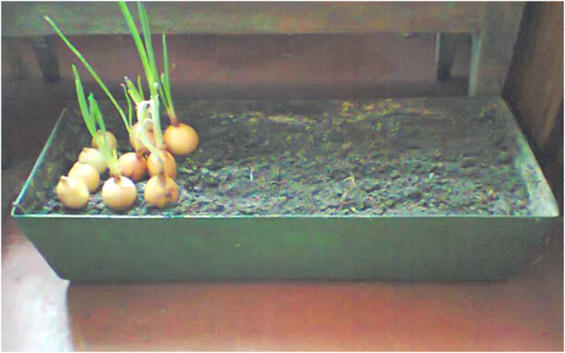 Металлические ящики под посадку: цветов,  овощей,  фруктов,  6штук,  новые