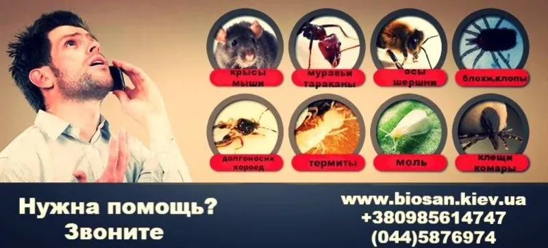 Уничтожение вредных насекомых,  грызунов.