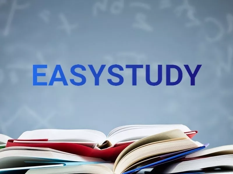 Заказать эссе в EasyStudy