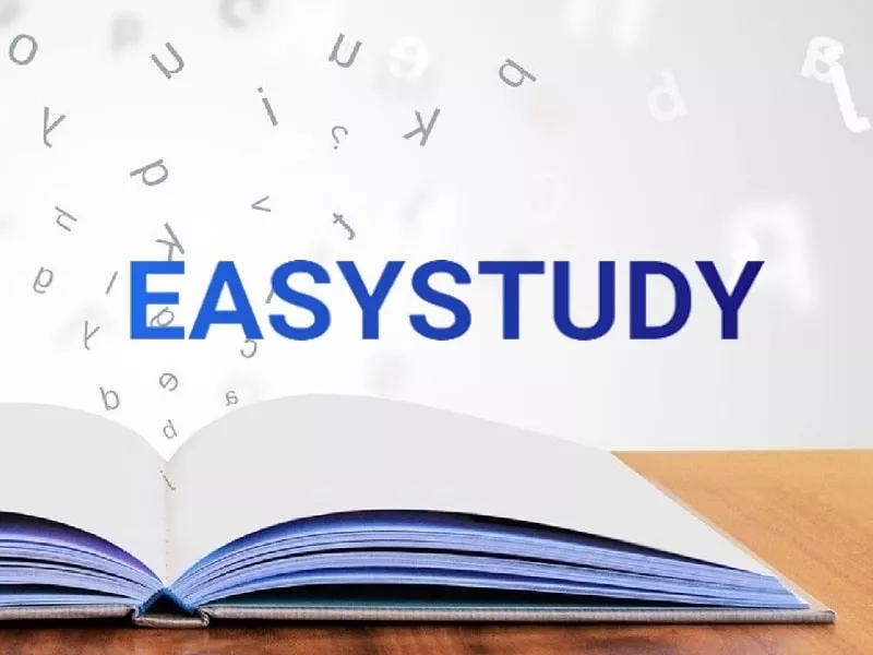 Заказать реферат в EasyStudy