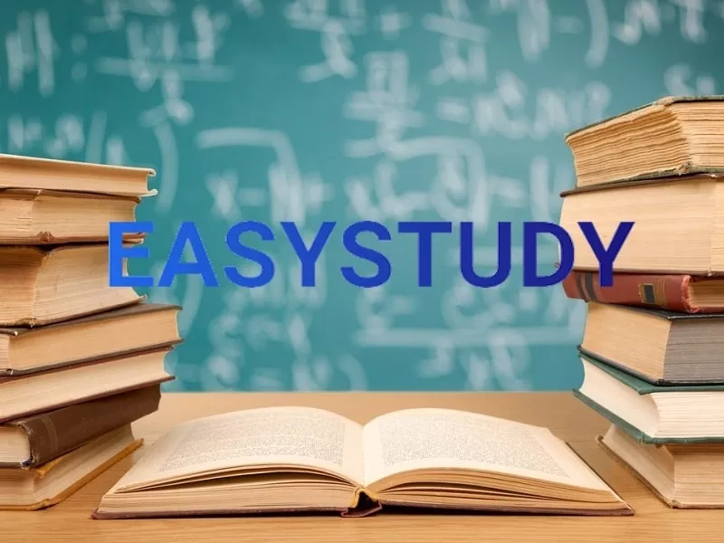 Замовити есе в EasyStudy