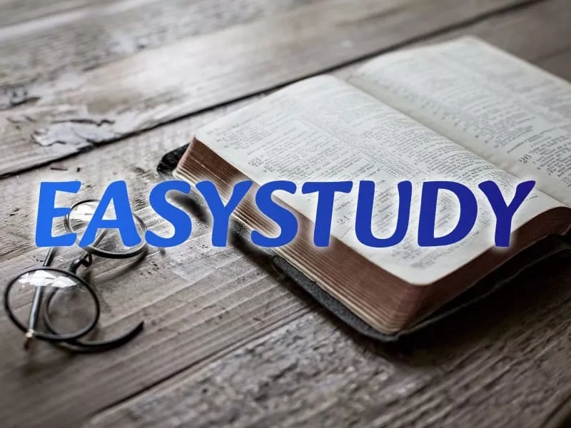 Заказать магистерскую работу в Украине