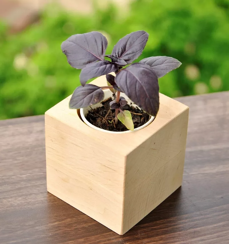 Корпоративні подарунки для агрокомпаній від Екокуб 3