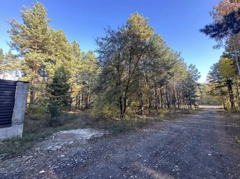 Продаж ділянки 10 сот. Київ у лісі. 3