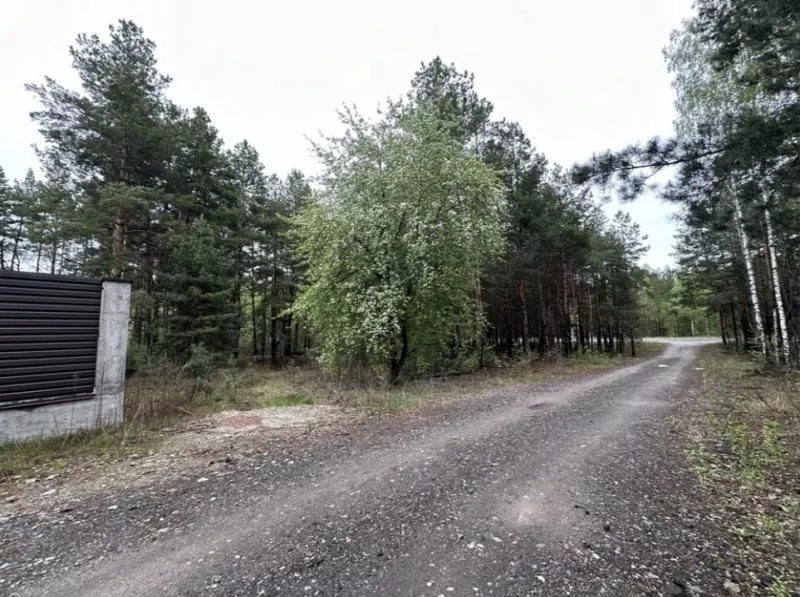 Продаж ділянки 10 сот. Київ у лісі. 5