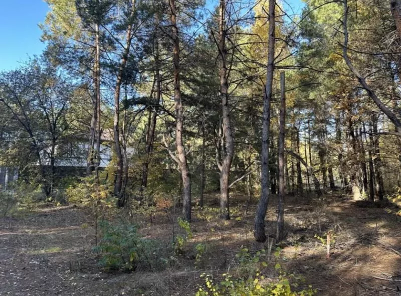 Продаж ділянки 10 сот. Київ у лісі. 7