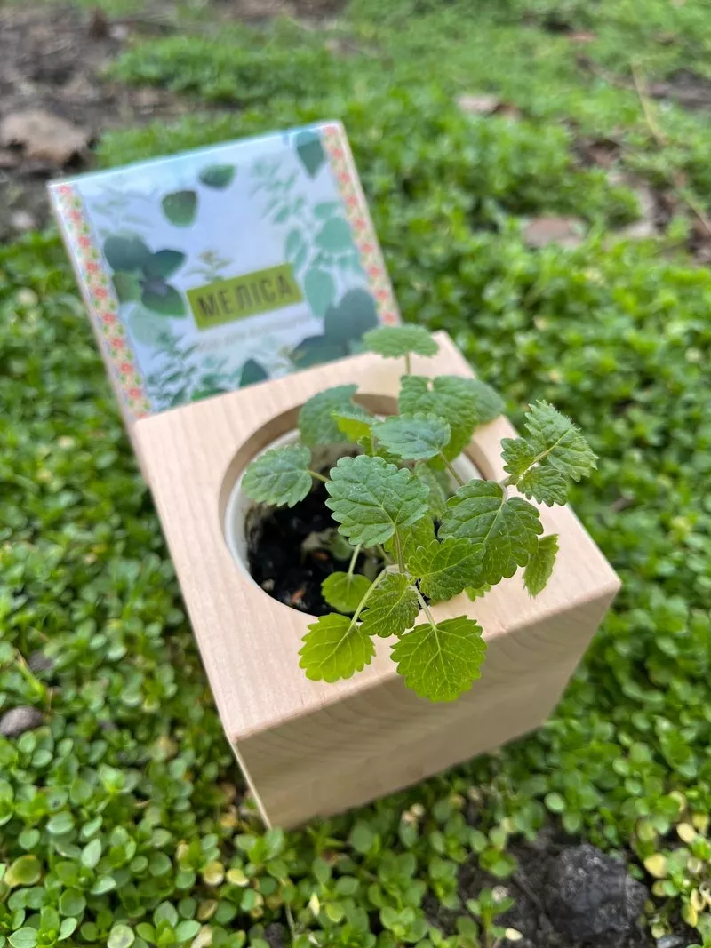 Корпоративні подарунки для агробізнесуагрокомпаній від Екокуб 3