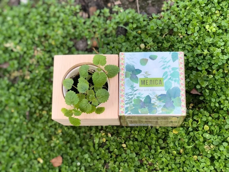 Корпоративні подарунки для IT компаній. 4