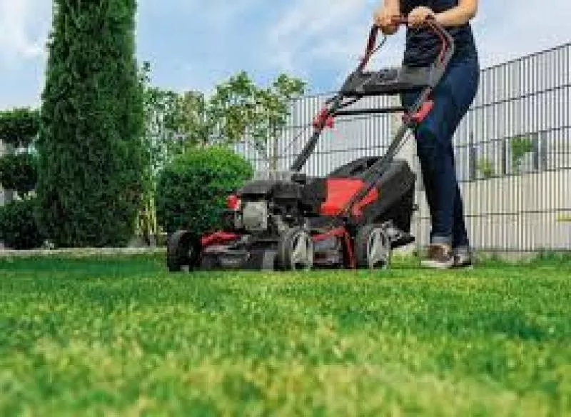 Покіс трави: Київ,  Київська область та Біла Церква. Швидко,  якісно,  до 6