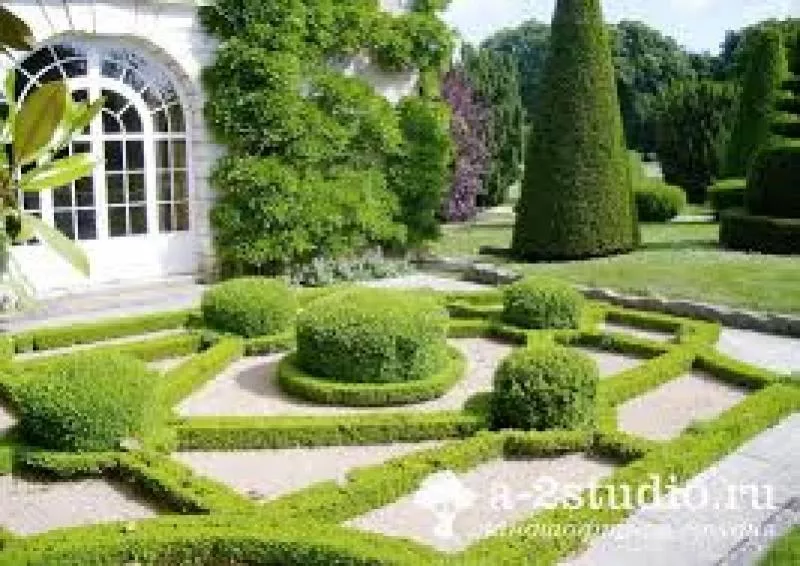 Декоративна стрижка туй — надаємо саду ідеальної форми! 4