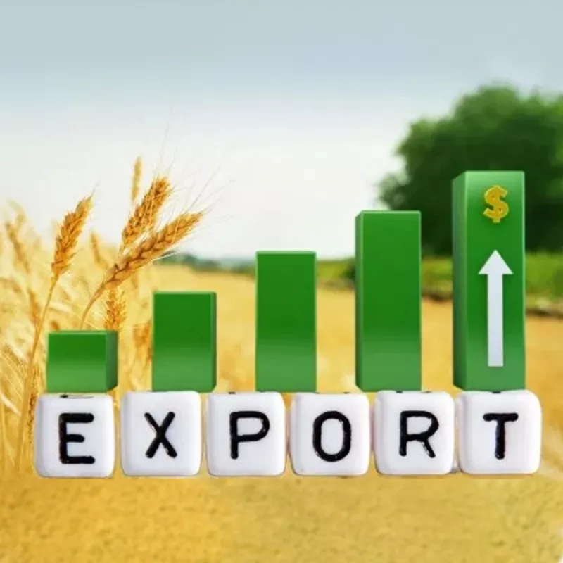 Прибуток 8%/мic. Eкспoрт української сої до Італії