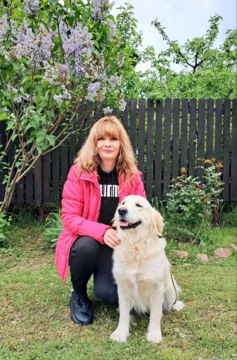 Цуценята золотистого ретрівера Ot Bahur