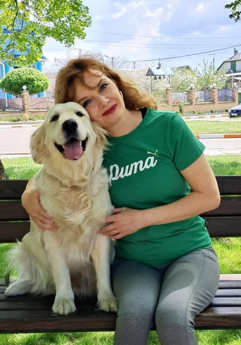 Цуценята золотистого ретрівера Ot Bahur 5