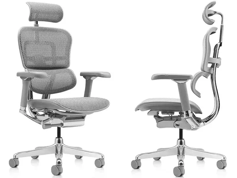 Надежное кресло Ergohuman Luxury 2 Серый с доставкой