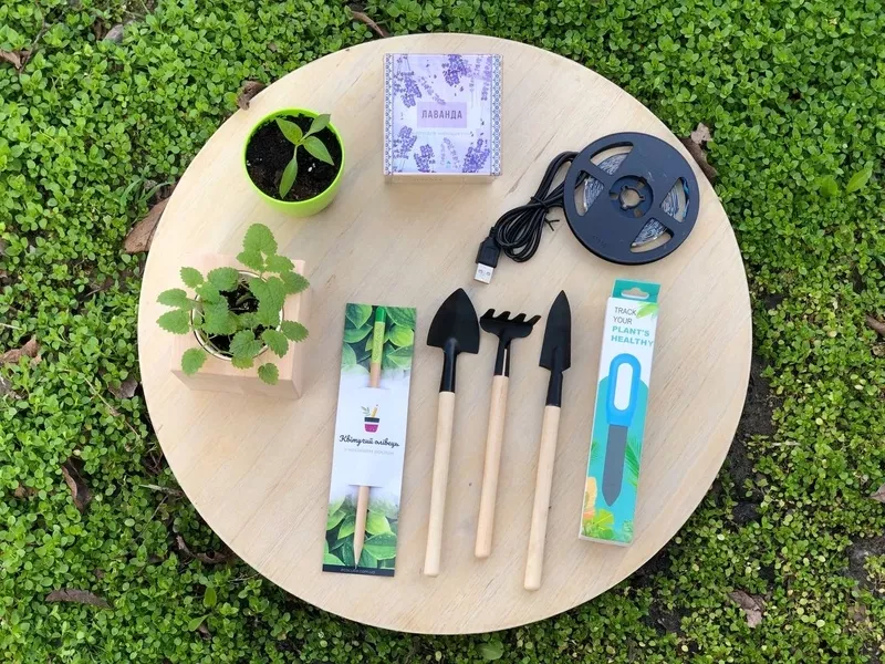 Новорічні корпоративні подарунки з думкою про природу. 4