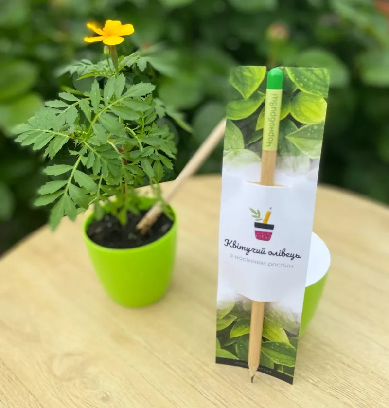 Екологічні подарунки на Новий рік 2026. Квітучі подарунки 3