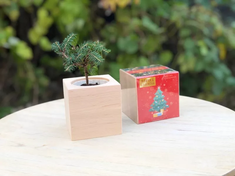 Подарунки на Миколая. Новорічні набори. DIY набори 5