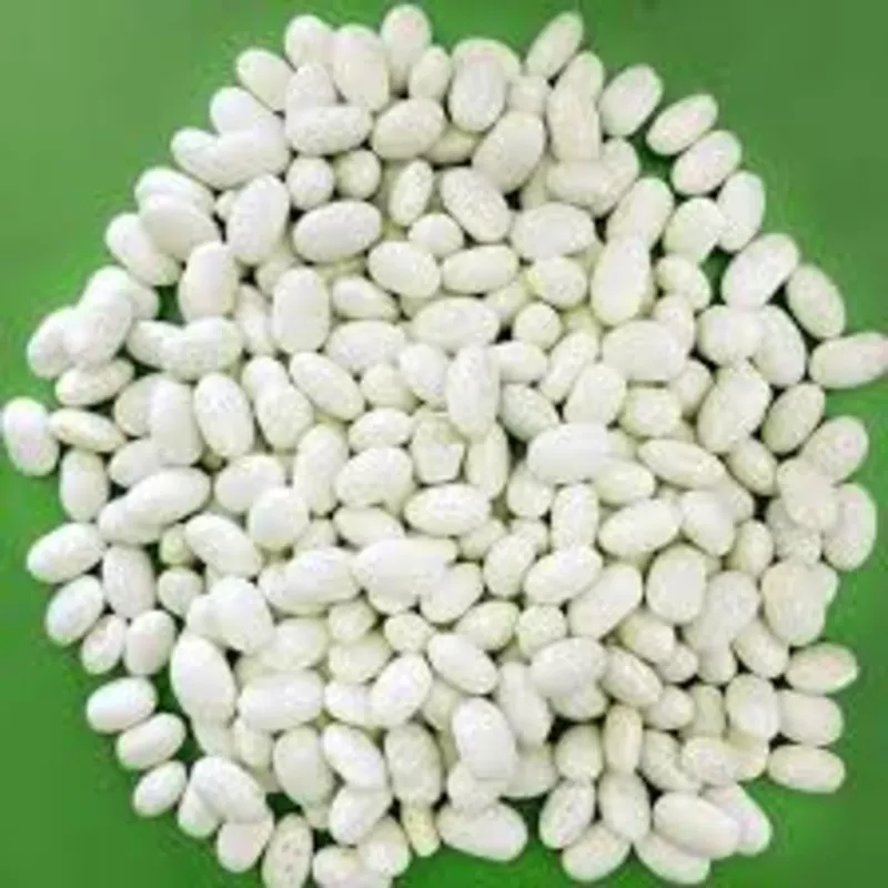 Насіння,  посівмат квасолі сортів Неві Бінс,  Червона довга,  Пінто,  Черв