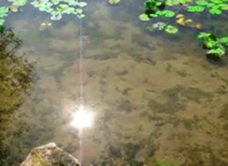 Чистим водоемы. Чистим бассейны. Чистим траншеи